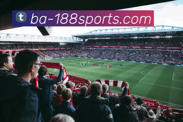 App Interface Preview